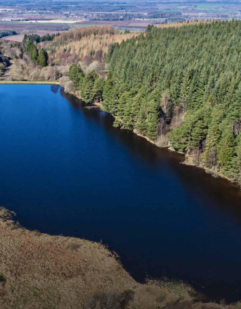 Buy your own Perthshire loch and help save squirrels
