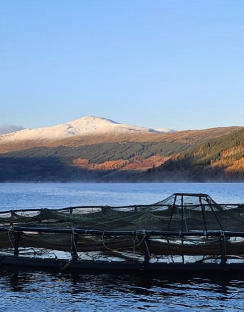 Consultation closes on contentious Perthshire fish farm